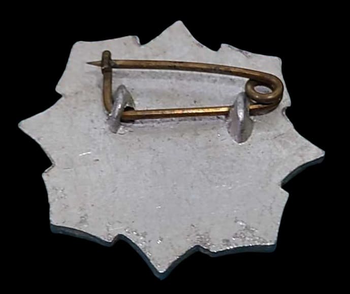 Examiner's  Physical Fitness Badge 検定員体力章.jpg