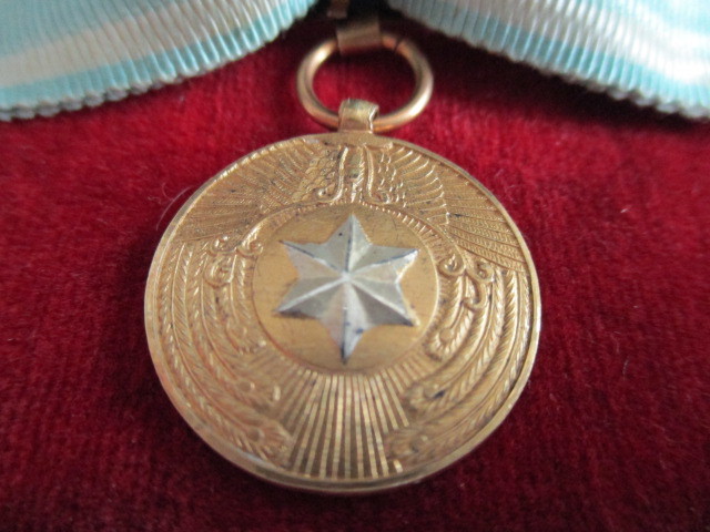 Extraordinary Member's Badge  of Imperial Soldiers' Support Association.jpg