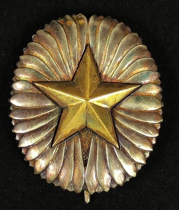 Fake Army War  College Graduation Badge.jpg