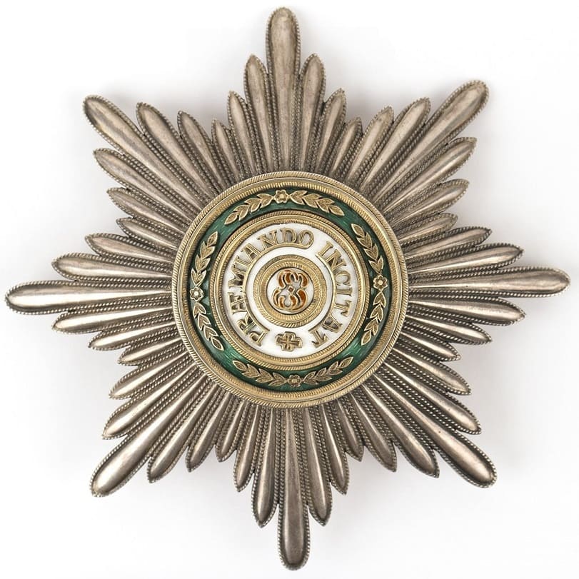 Fake breast star in gilded silver.jpg