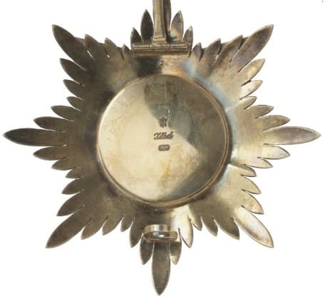 Fake breast star.jpg