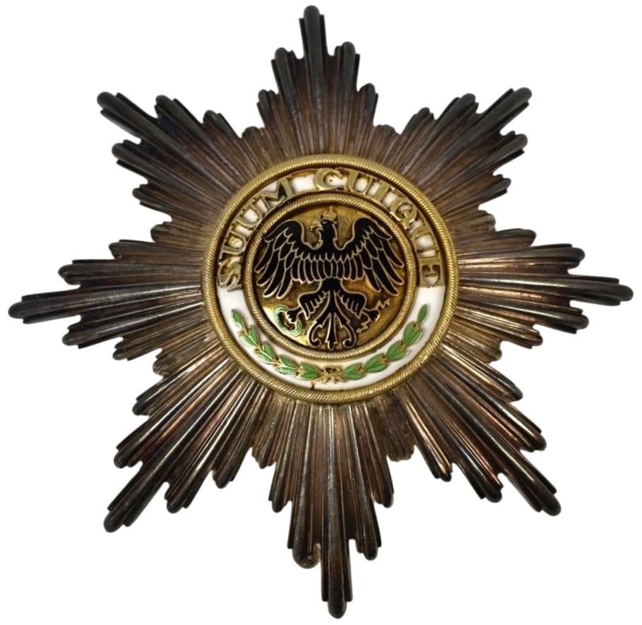 fake breast star of Black Eagle  order made by Rothe.jpeg