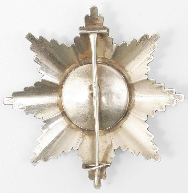 fake breast star of  Saint Vladimir order.jpg