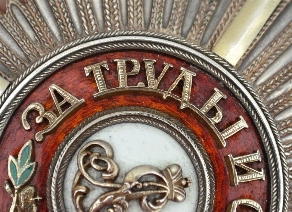 Fake breast  star of St. Alexander Nevsky Order.jpg