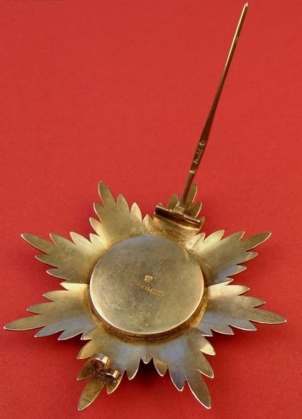 Fake breast star    of St.Stanislaus Orders for Non-Christians.jpg