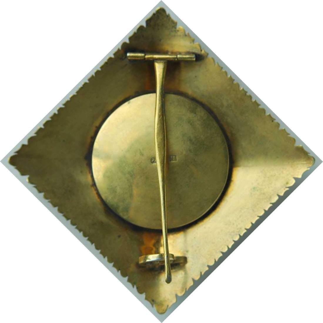 Fake Breast  Star of the  Order of  St.George.jpg