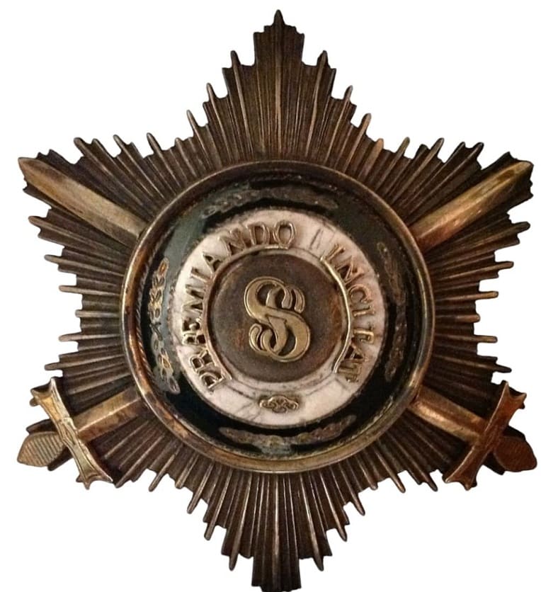 Fake breast star with swords.jpg