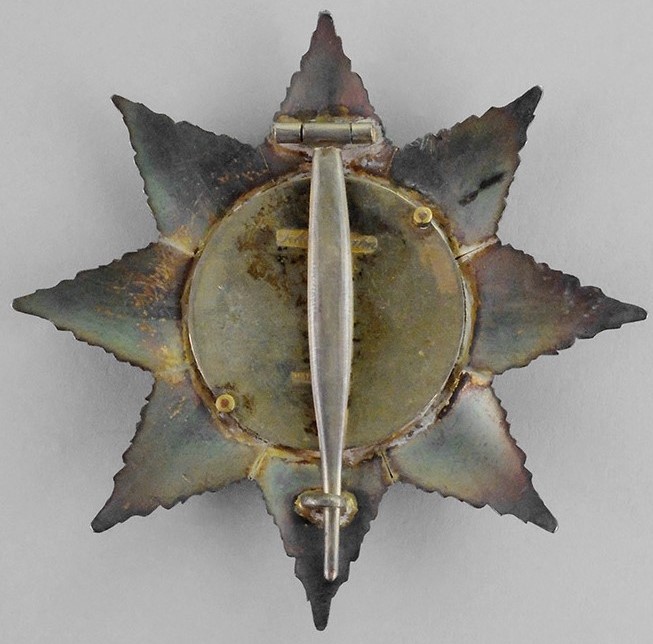 Fake Constructor Breast Star of Saint  Andrew Order.jpg