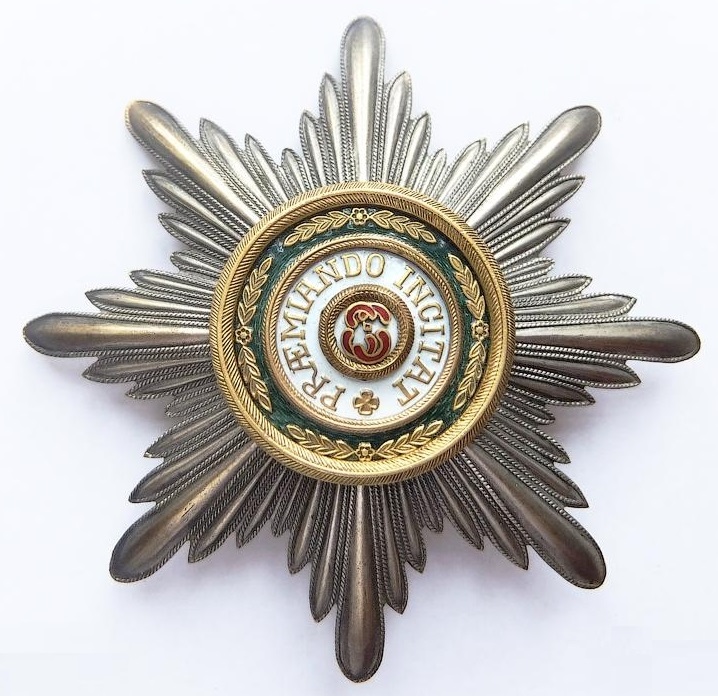 fake Eduard breast star in bronze.jpg