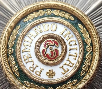fake  Eduard breast star in bronze.jpg