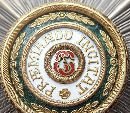 fake  Eduard breast star in bronze.jpg