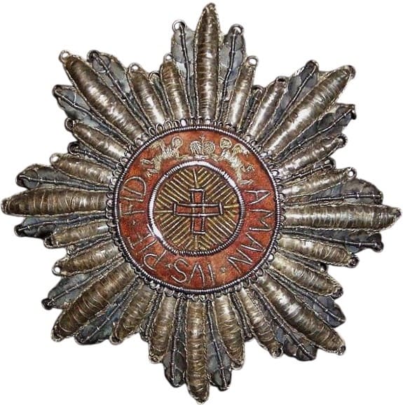 Fake embroidered breast star.jpg