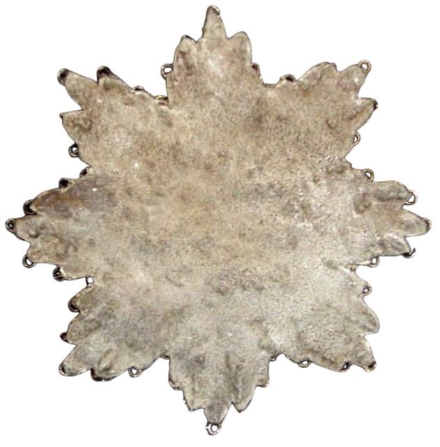 Fake  embroidered breast star.jpg