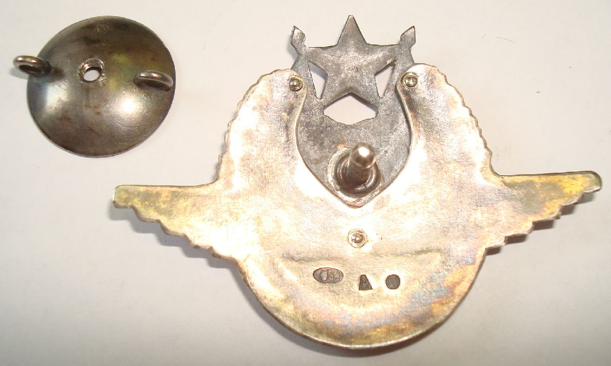 Fake Excellent Air Fighter  Badge.JPG
