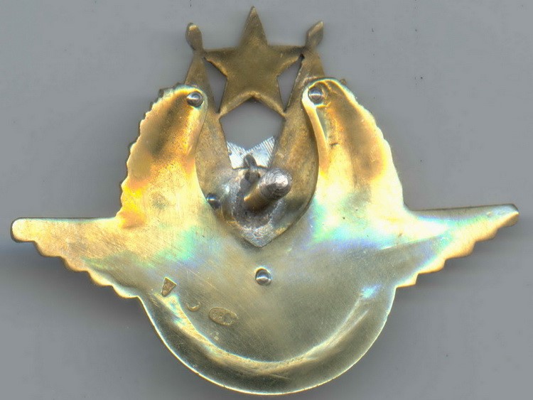 Fake  Excellent Air Fighter Badge.JPG