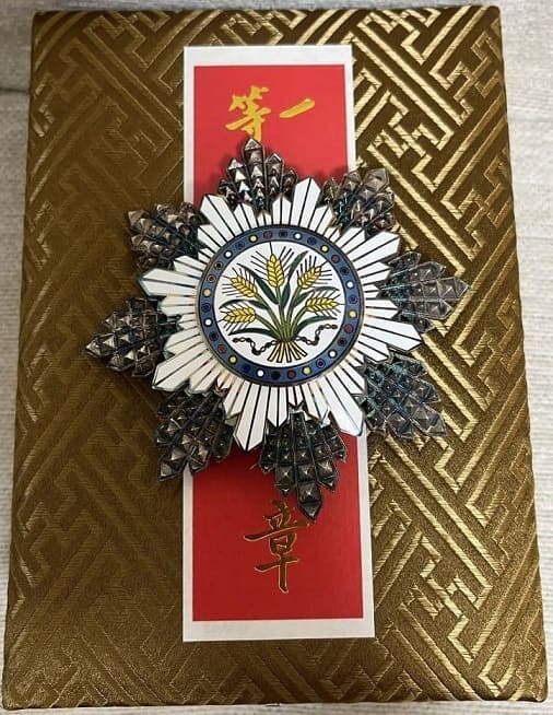 Fake Golden Grain order  breast  star.jpg