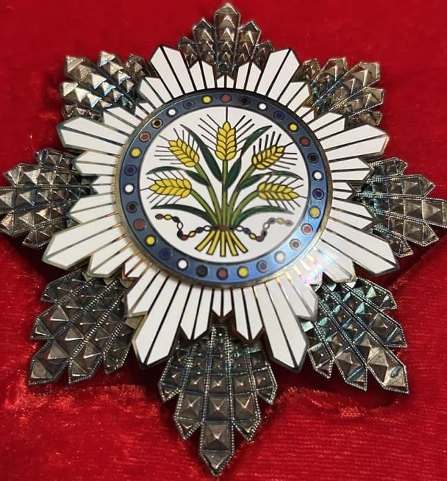 Fake Golden Grain order breast star.jpg