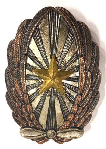 Fake Japanese Army  Pilot Badge.jpg