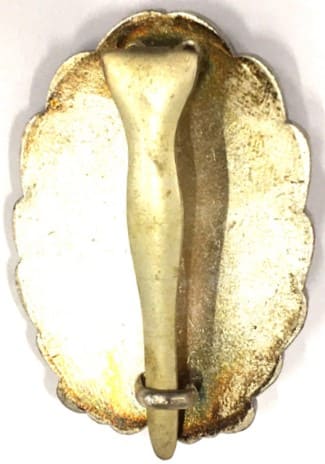 Fake  Japanese Army Pilot Badge.jpg