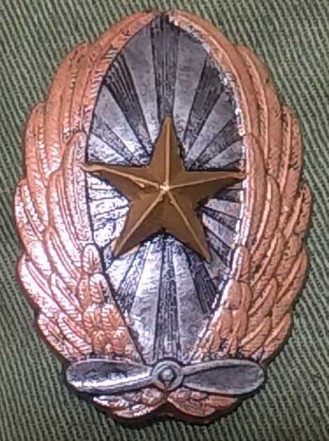 Fake  Japanese Army  Pilot Badge.jpg