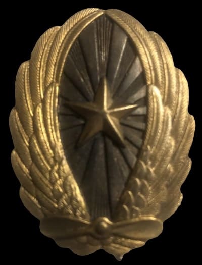 Fake Japanese Army Pilot Badge.jpg
