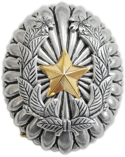 Fake Japanese Commander Badge.jpg
