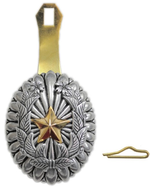 Fake Japanese Commander Badge-.jpg