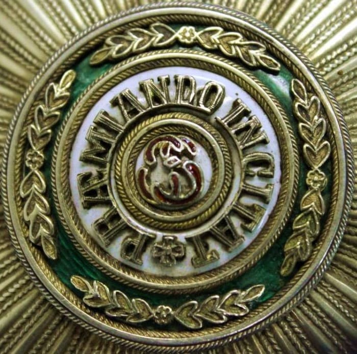 Fake Kabel  Saint Stanislaus order breast star.jpg