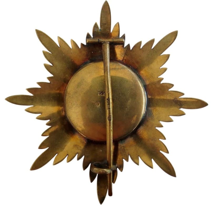 Fake Keibel-made breast star of Saint Vladimir order.jpeg