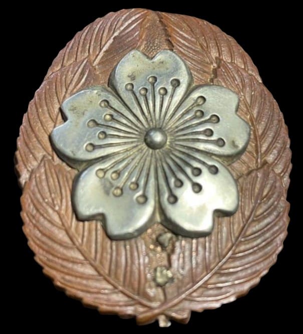 Fake of NCO Diligent Service Badge.jpg