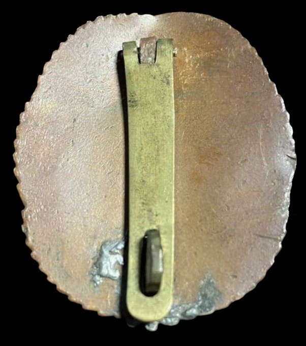 Fake of NCO  Diligent Service Badge.jpg