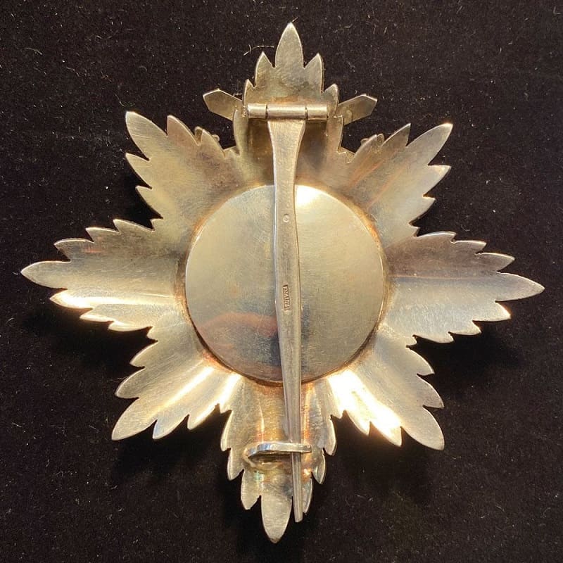 Fake Oldenburg  House Order Breast Star.jpg