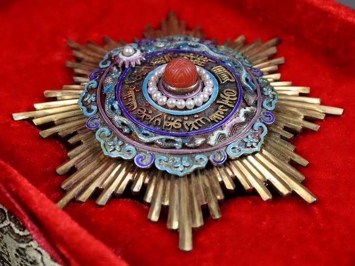 Fake Order of  Double Dragon  breast star.jpg
