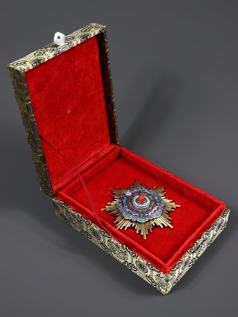 Fake  Order  of  Double Dragon breast star.jpg
