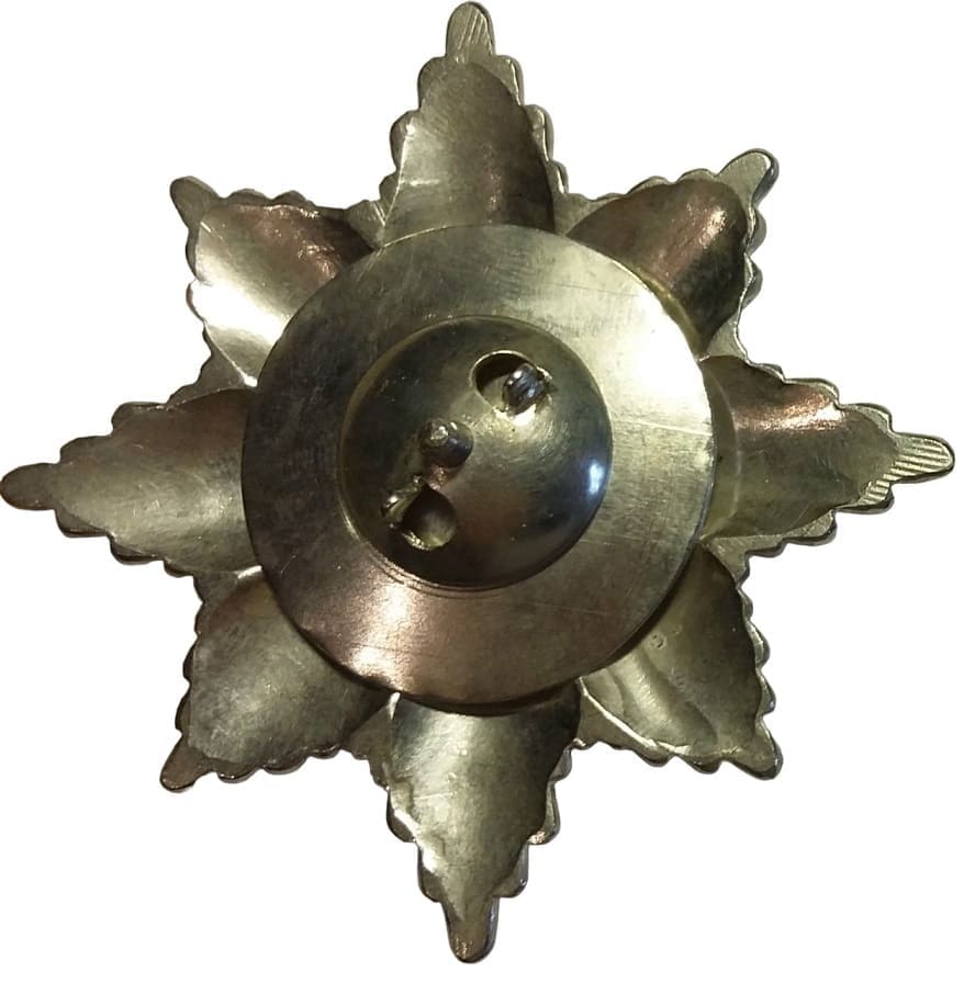Fake Order  of the Lion and Sun.jpg