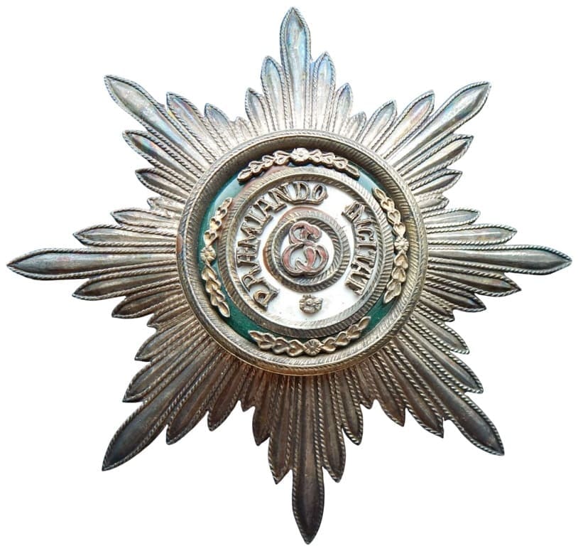 Fake St. Stanislaus order breast star.jpeg