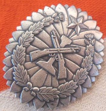 Fakes of Independent Garrison  Units Badge.jpg