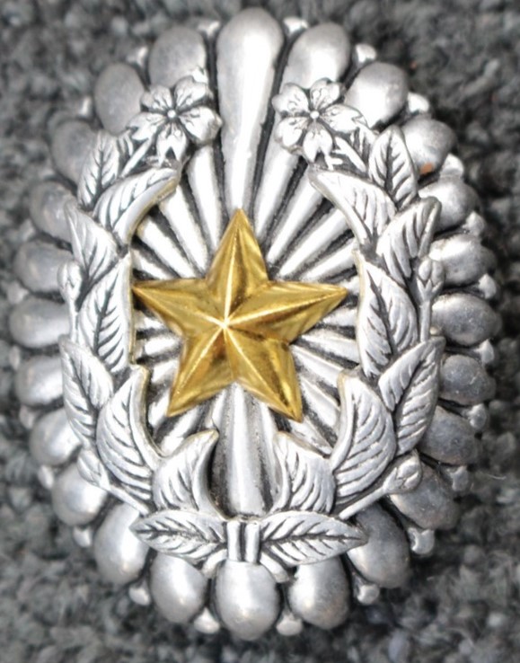 Fakes of Japanese Commander Badge..jpg