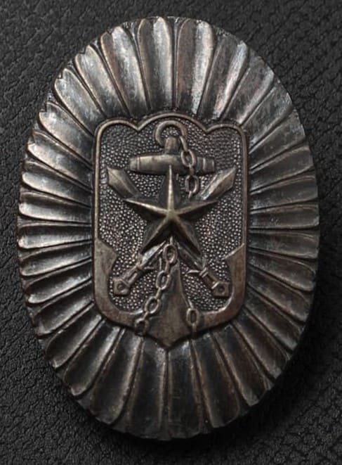 Friends of the Military Ichi Branch Badge.jpg