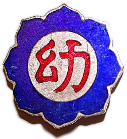 Fukushima  Kindergarten Badge.jpg