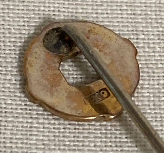 Gold Pin of  Marine Rescue Association.jpg