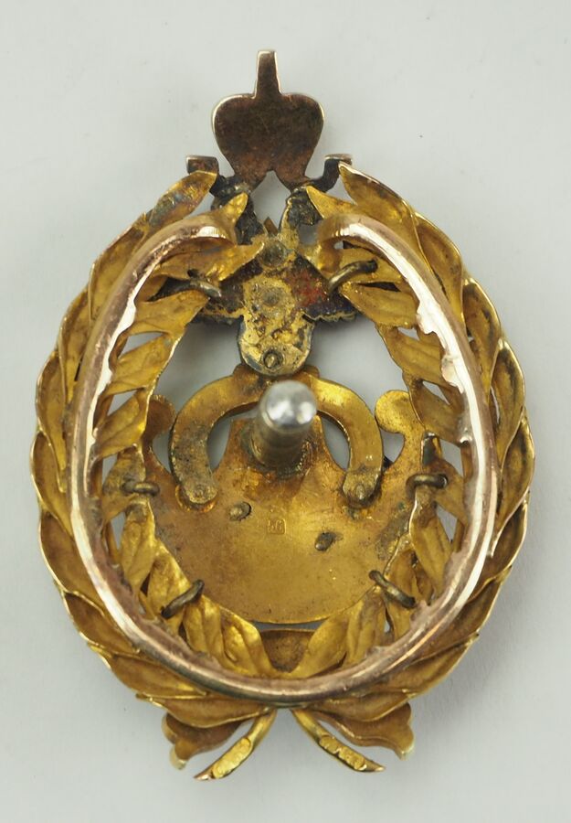 Golden Badge  of Air Force  Strengthening Special Committee.jpg