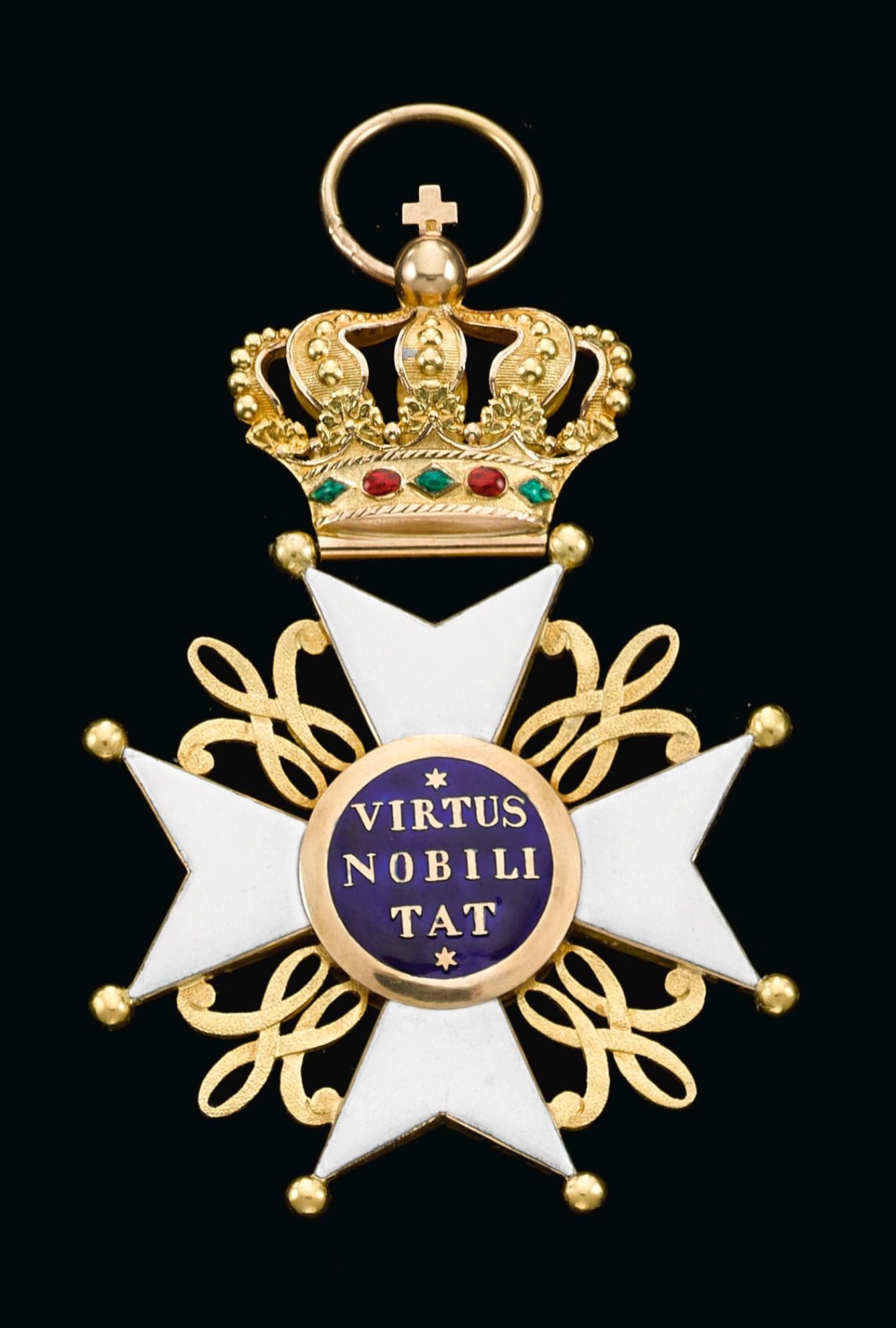 Grand  cross of the order of the Netherlands Lion.jpg