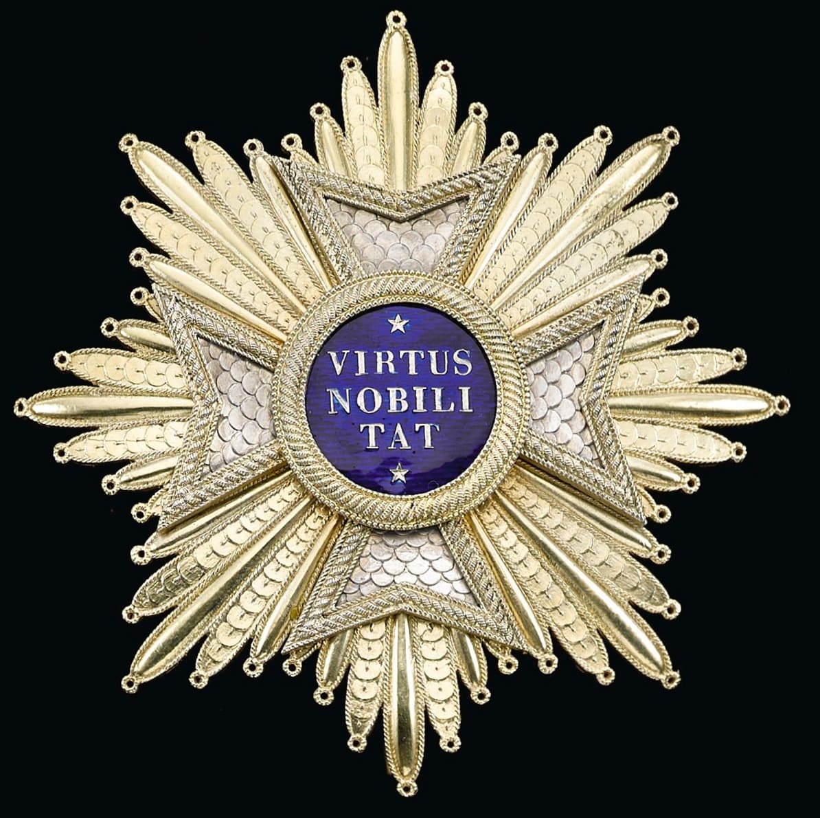 Grand cross of the order of the Netherlands Lion.jpg