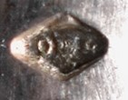 HALLEY & LASNE  mark.jpg