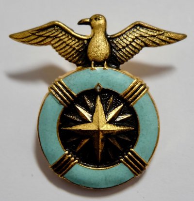 Hat badge.jpg