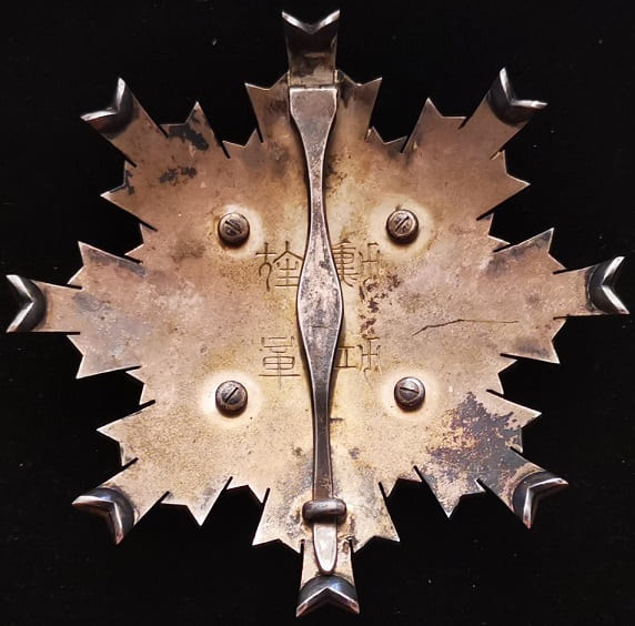 Hirata workshop breast star..jpg