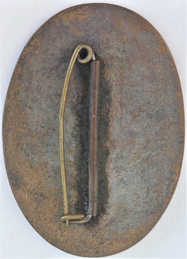 Hiwasa Town  Comrade in Arms Association Badge.jpg