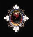 Honorary Member's Badge 名誉會員徽章.jpg