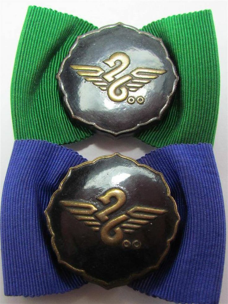 Honorary Member's Badge vs. Special Member's Badge.jpg